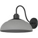 Levitt 1 Light 11.63 inch Natural Black Outdoor Wall Light in Natural Gray